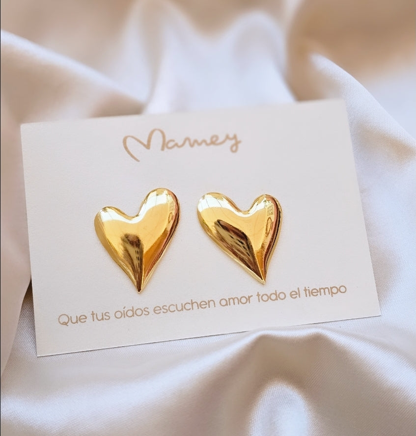 ARETES AMOR PROPIO