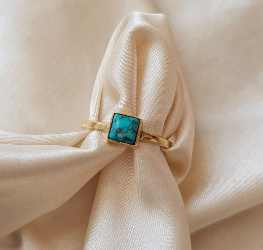 ANILLO HOWLITA ENMARCADA